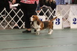 Enlarge photo 86