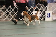 Enlarge photo 83