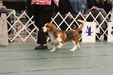 Enlarge photo 82