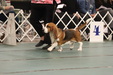 Enlarge photo 81