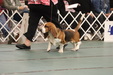 Enlarge photo 79