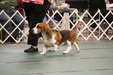 Enlarge photo 75