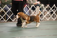 Enlarge photo 74