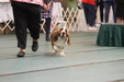 Enlarge photo 44