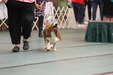 Enlarge photo 43