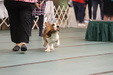 Enlarge photo 42