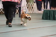 Enlarge photo 40