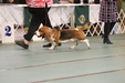 Enlarge photo 33