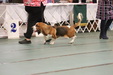 Enlarge photo 32