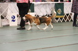 Enlarge photo 29