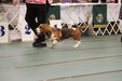 Enlarge photo 31