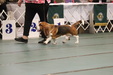 Enlarge photo 30