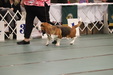 Enlarge photo 26