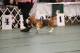 Enlarge photo 25