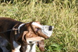 Enlarge photo 29