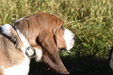 Enlarge photo 27