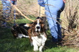 Open Dog