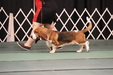 Enlarge photo 46