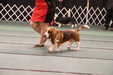 Enlarge photo 24