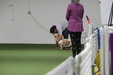 Enlarge photo 91