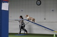 Enlarge photo 79