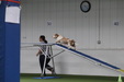 Enlarge photo 78