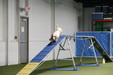 Enlarge photo 149