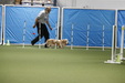 Enlarge photo 128