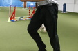 Enlarge photo 110