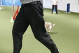 Enlarge photo 109