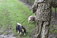 Enlarge photo 62