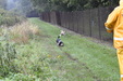 Enlarge photo 60