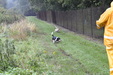Enlarge photo 59