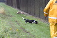 Enlarge photo 57