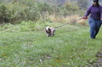 Enlarge photo 58