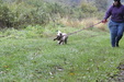 Enlarge photo 56