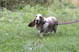 Enlarge photo 55