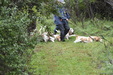 Enlarge photo 51