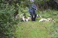 Enlarge photo 50