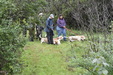 Enlarge photo 49