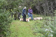 Enlarge photo 47