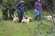 Enlarge photo 48