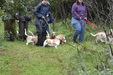 Enlarge photo 46
