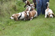 Enlarge photo 39