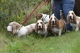 Enlarge photo 33