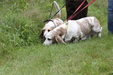 Enlarge photo 31