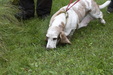 Enlarge photo 26