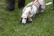 Enlarge photo 25