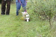 Enlarge photo 22