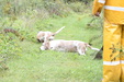 Enlarge photo 18